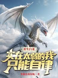 ����������ʵ��̫������ֻ������