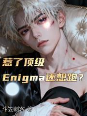 ���˶���Enigma�����ܣ�